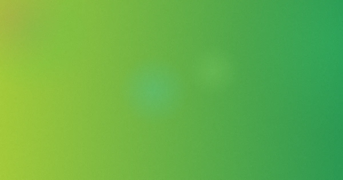 安野由美推荐：新手对比